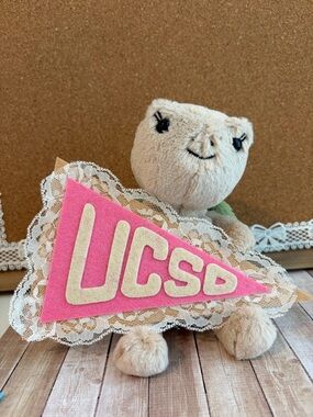 Pink UCSD Felt Pennant Wall Decor